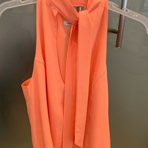 Bishop + Young Sleeveless Dress Shirt